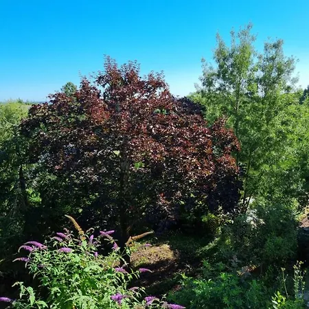 Location Saisonniere Situe A Saumur